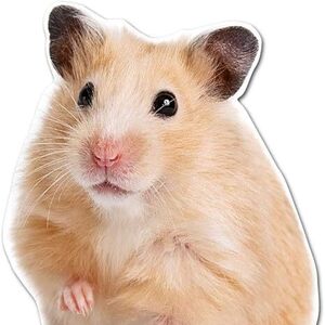 Fundraising Page: Bernie Garland